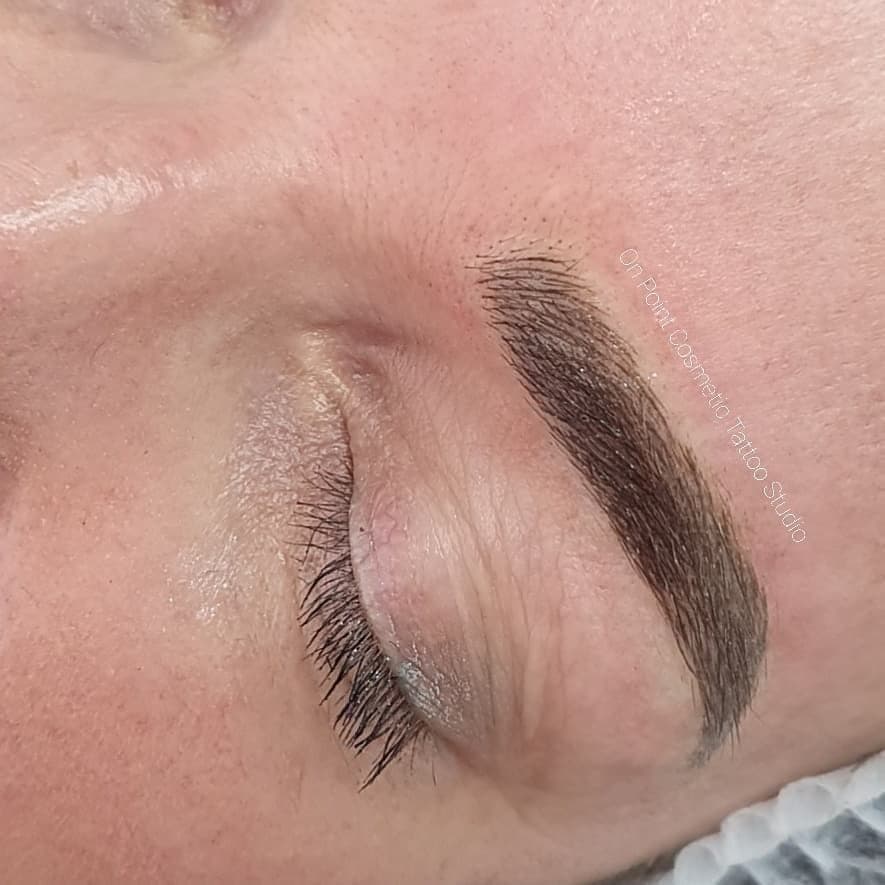 Dense hair-stroke brow, close up