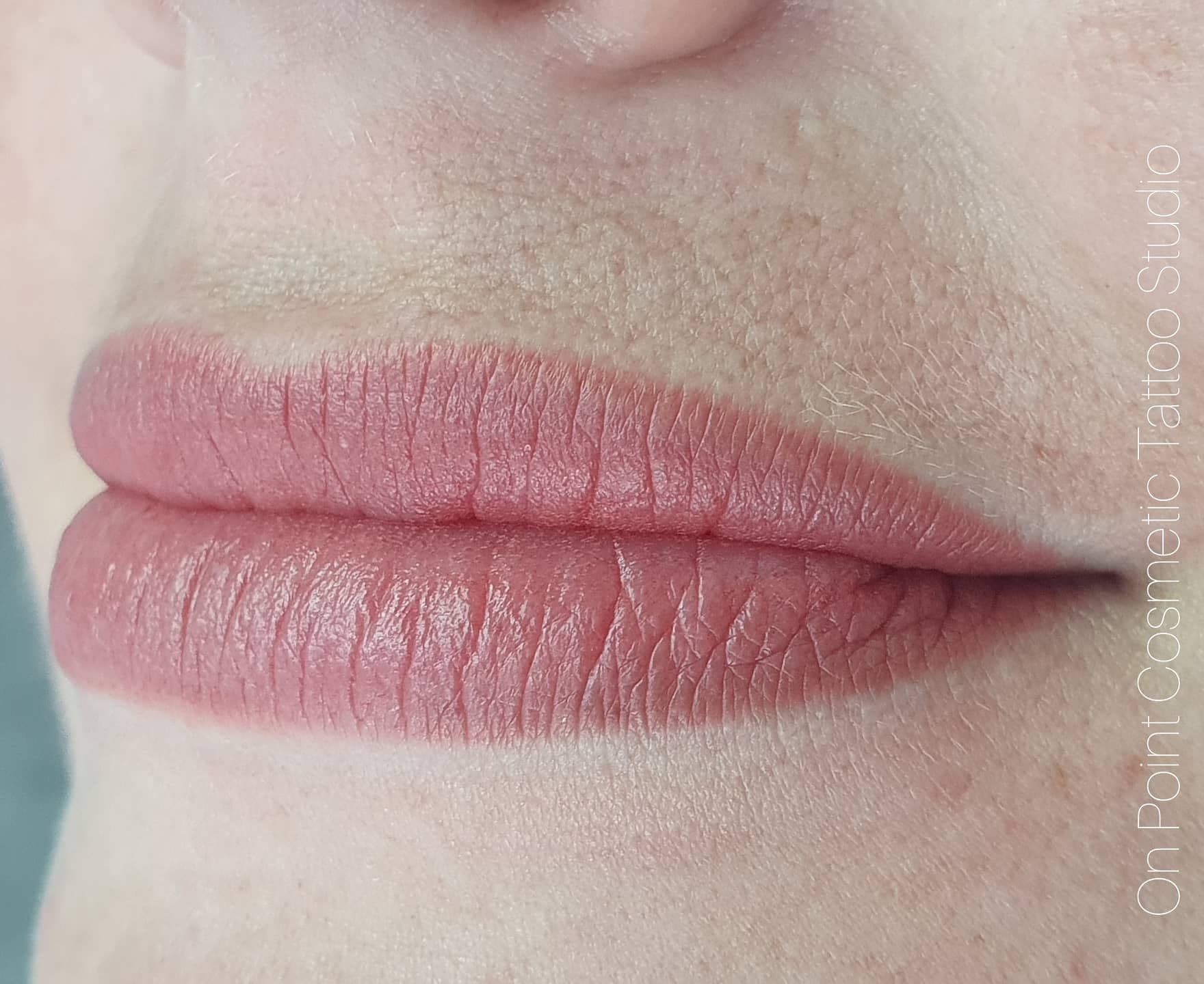 Full lip tattoo in a soft rose tone