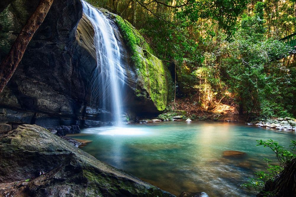 Rainforest waterfall in the Buderim hinterland